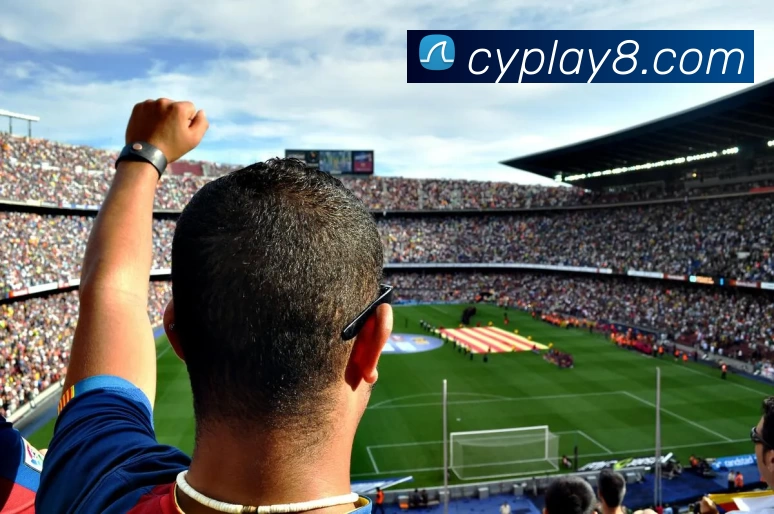 多媒体互动体验