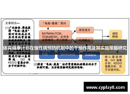 体育健康计划在慢性病预防机制中的干预作用及其实施策略研究